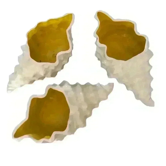 CREATIVE CERAMICS SET OF 3 BEAUTIFUL CONCH SHELLS 12”x 6” Each - Picture 1 of 6